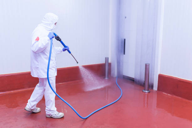 Best Building Exterior Washing  in Brownwood, TX